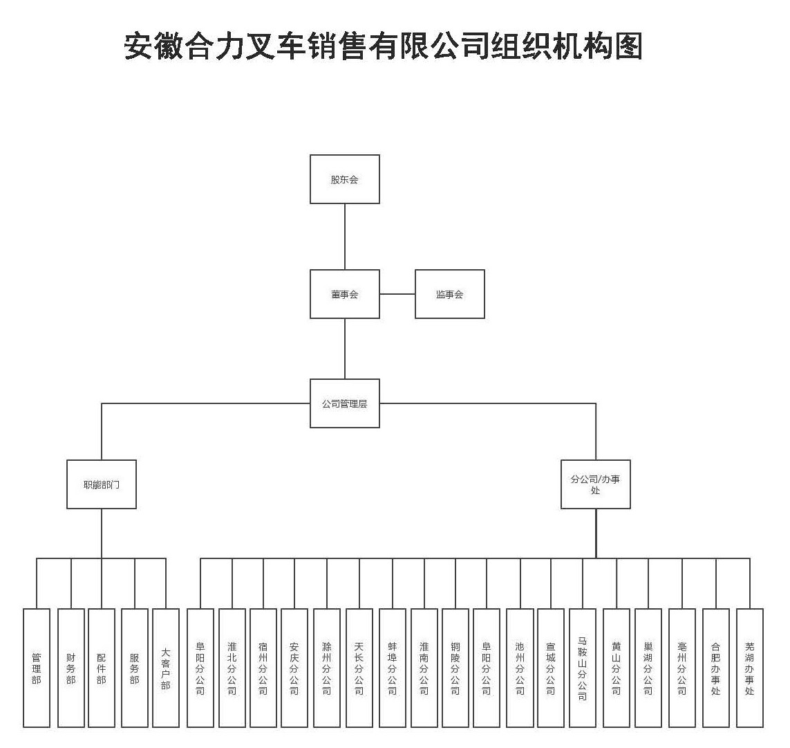 安徽Z6尊龙凯时销售组织机构图.jpg